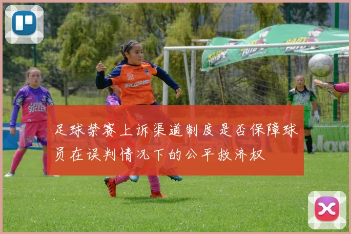 足球禁赛上诉渠道制度是否保障球员在误判情况下的公平救济权