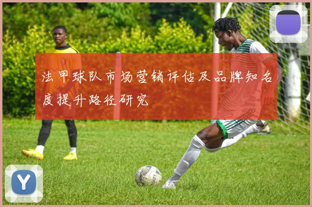 法甲球队市场营销评估及品牌知名度提升路径研究