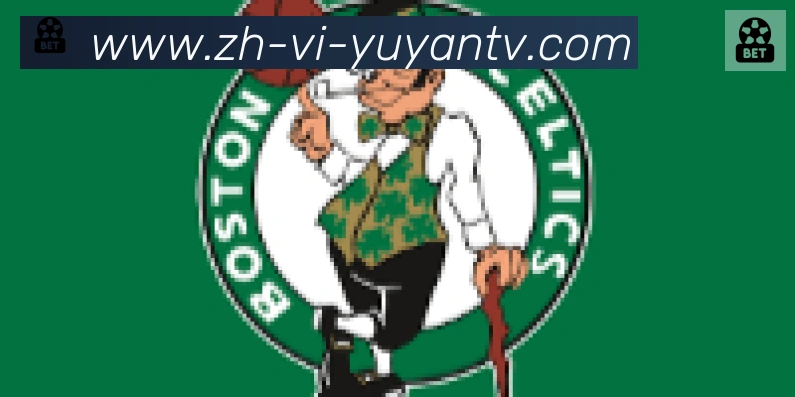 雨燕直播合作伙伴